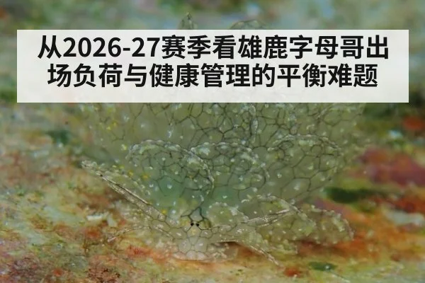 从2026-27赛季看雄鹿字母哥出场负荷与健康管理的平衡难题